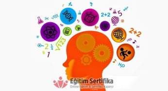 Frostig Görsel Algı Testi