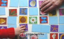 Peabody Resim Kelime Eşleştirme Testi