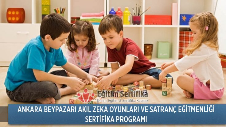 Ankara Beypazarı Akıl Zeka Oyunları ve Satranç Eğitmenliği Sertifika Programı