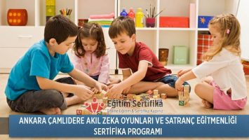 Akıl Zeka Oyunları ve Satranç Eğitmenliği Sertifika Programı Ankara Çamlıdere