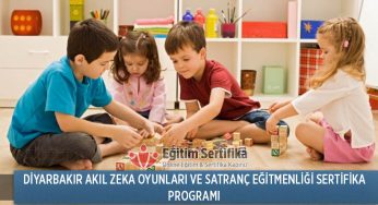 Akıl Zeka Oyunları ve Satranç Eğitmenliği Sertifika Programı Diyarbakır
