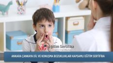 Dil ve Konuşma Bozuklukları Kapsamlı Eğitim Sertifika Programı Ankara Çankaya