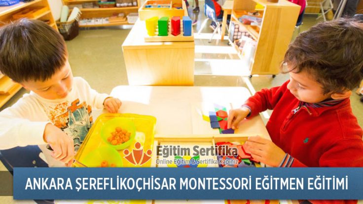 Montessori Eğitmen Eğitimi Ankara Şereflikoçhisar